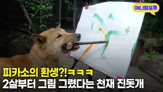 동호회에서 만난 그림 그리는 진돗개 우리 개도 할 수 있을까 붓 줬더니 | KBS 생생정보 190618 방송