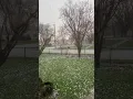 LOUD hail in Joliet Illinois This Morning