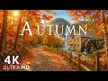 Experience the Magic of Autumn Relaxing Music Peaceful Forest Landscapes - 4K resolution