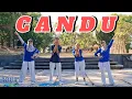 Download Lagu CANDU Remix || Senam Kreasi || Tiktok viral