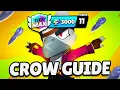 2026 THE ONLY CROW GUIDE YOU LL EVER NEED
