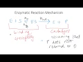 Enzyme substrate binding and selectivity Dr Terrell