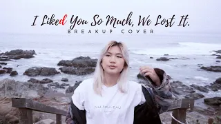 if i like you so much youll know it was a breakup song