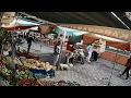 Download Lagu Terremoto Turquía y Grecia 30/10/2020 (Compilado HD) / Earthquake in Turkey and Greece 7.0 / Deprem