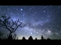 MR TRAUMATIK - SURVIVAL OF THE SMARTEST ( FREE DOWNLOAD )
