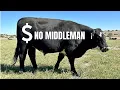 Direct-to-Consumer Beef Sales Full Course