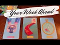 Download Lagu The Next 7 Days! Daily Details! 🔎 pick a card weekly reading 
