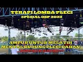 Download Lagu Terapi Lomba Pleci ampuh untuk melatih mental burung pleci 100% di jamin langsung nyaut