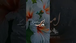 أمي وهل في الكون أغلى منك أناشيد بدون موسيقى بدون موسيقى نشيد اناشيد الأم 