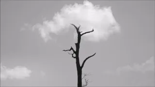 asa ebony sorrow remix 