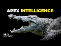Download Lagu De waanzinnige biologie van: de zoutwaterkrokodil