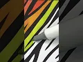 Coloring zebra stripes rainbow