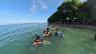                            دندنها