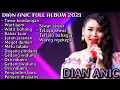 Download Lagu Dian Anic Tamu Kondangan Full Album Lagu Tarling Populer