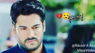 حالات واتس اب حزن تركني بحالي راغب علامة 