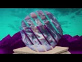 Download Lagu Ｅｖｅｒｙｂｏｄｙ　Ｗａｎｔｓ　Ｔｏ　Ｒｕｌｅ　Ｔｈｅ　Ｗｏｒｌｄ　－　Ｖａｐｏｒｗａｖｅ