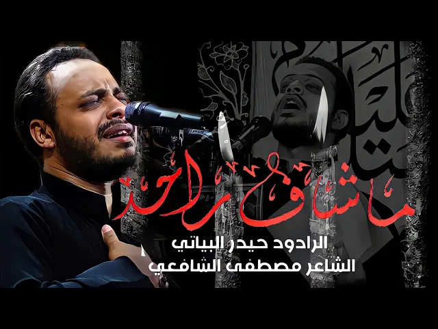 ⁣ما شاف راحه | الرادود حيدر البياتي | شهادة الامام موسى الكاظم ع