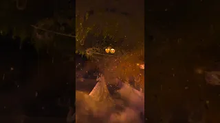 الله يباركلي فيك تامر حسني حالات وتس حب اغاني حب حالات واتس اغاني حب حب لايك Love Hiphop Sad 