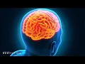 Download Lagu Genees En Repareer Het Zenuwstelsel || Verlichting Van Stress || Muziek Om De Geest Te Kalmeren