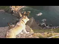 Mumford & Sons - Mumford & Sons and National Geographic Present: Wild Heart