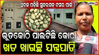 ଅଚଳ ପଡ଼ିଛି ସୁନ୍ଦରଗଡ଼ ୩୨ କୋଟିର ଟସର ସିଲ୍କ ପାର୍କ ! Tussar Silk Park project at Khuntgaon in the Bonai.
