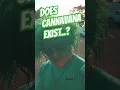 Cannavana is The pinned comment leads you There