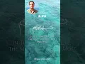 Download Lagu Surah Al-A'la Egzon Ibrahimi Soothing Quran Recitation #quranrecitation #alquran #holyquran