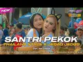 Lagu DJ SANTRI PEKOK - THAILAND STYLE X JEDAG JEDUG GLERR‼️