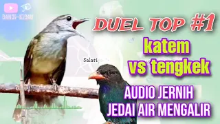 duet top 1 kapas tembak vs tengkek buto