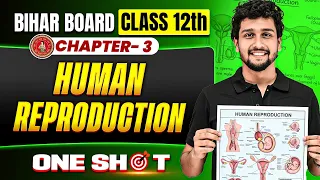 Human Reproduction ONE SHOT - Class 12 Bihar Board Zoology