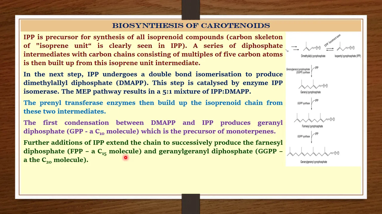 Biosynthesis of Carotenoids-III - Dr. Rohitashv Choudhary - M. Sc. Final - Botany