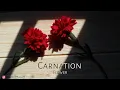 Download Lagu Anjer Voelde Bloemen - #DIY Vilt Bloemen van S Nuraeni