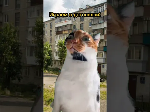 Соглашение ограбило котика😱 #игравкальмара #мем #cat #фрет #сериал