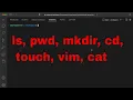 Essential Linux Commands ls pwd mkdir cd touch vim cat