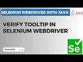 Selenium WebDriver Tutorial How to Verify Tooltip in Selenium WebDriver Step-by-Step Guide