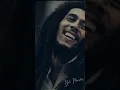 Download Lagu Story Wa IG terbaru Full Screen Bob Marley - Don't Worry be Happy | Its Story