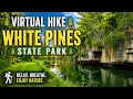 Towering Pines Scenic River Views Virtual Nature Walk White Pines Forest State Park