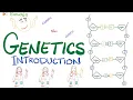 Introduction to Genetics - DNA RNA Genes Nucleosides Nucleotides Transcription Translation