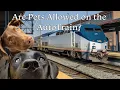 Are Pets allowed on Amtrak Auto Train