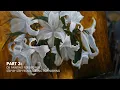 Download Lagu Part 3: Dead layer - Oil Painting Multilayer method
