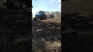 Посівна озимого ріпаку 2023 мтз 2023 ріпак Canola Sowing Ucraine Farming Top 