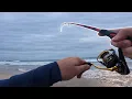 Surf Fishing SoCal for non-stop action fishing Carlsbad CA