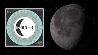 dj tomer ricardo tabia vika dlozi native p u0026 shredder sa remix my other side of the moon