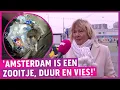 Lagu Ruimte voor ratten en wolven ‘verrijking’ voor Amsterdam: ‘Weg ermee!’