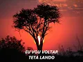 TETA LANDO- Eu Vou Voltar