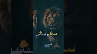٣ أكتوبر ٢٠٢٥ 