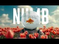 Download Lagu Linkin Park - Numb (Mentol Remix) | Aurah Cover