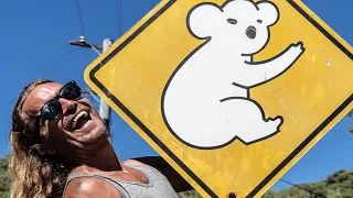 Drop Bears? The Koalas DEADLY Cousin 🐨 (Expedition Drenched S02Ep3)