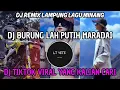 Download Lagu DJ BURUNG LAH PUTIH MARADAI | DJ REMIX LAMPUNG LAGU MINANG VIRAL TIKTOK 2024