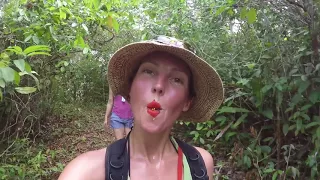 Sailing Around Beautiful Islands: The San Blas Experience – UNTIE THE LINES III #21